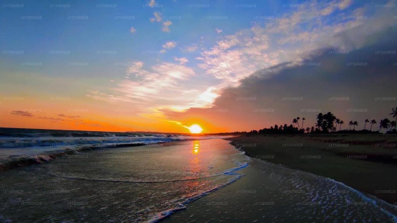 Sleeping Elephant Beach Resort, Ranna