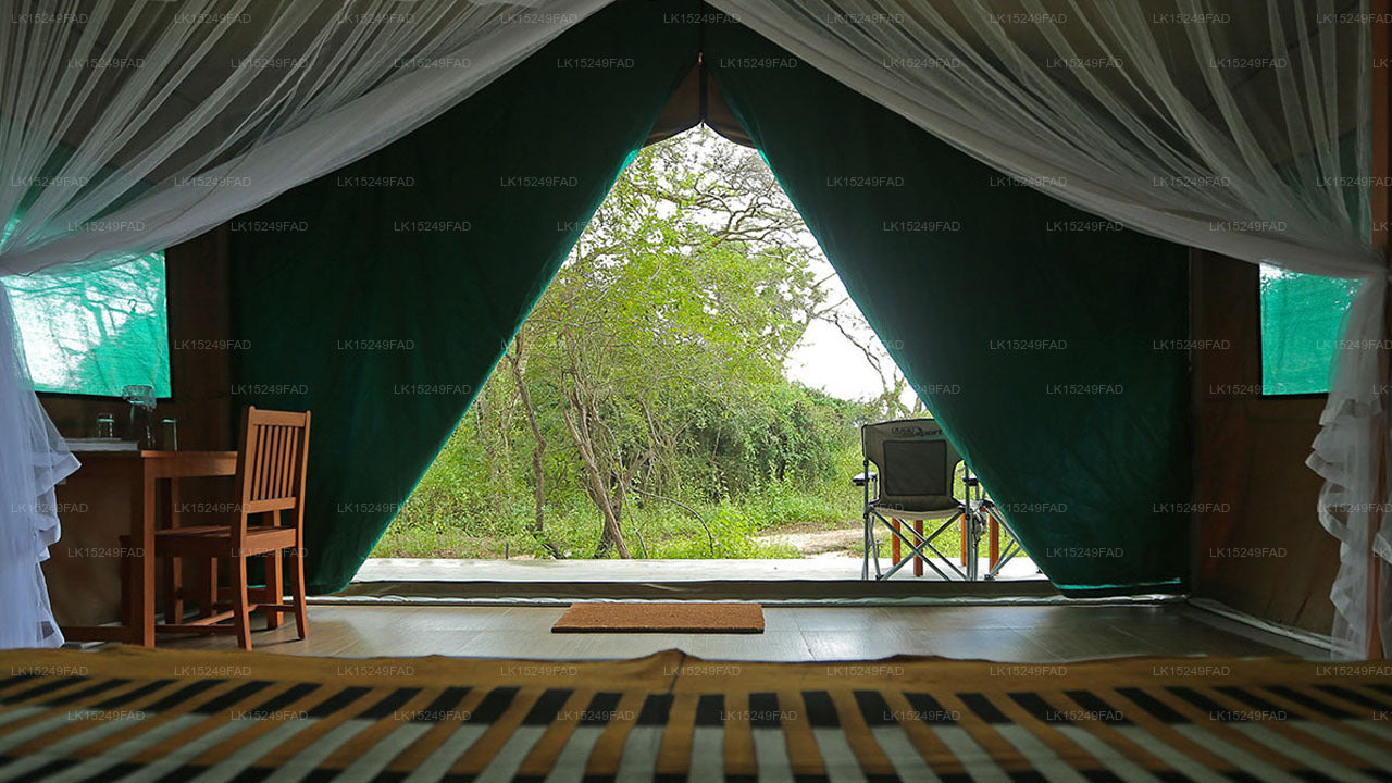 Wilpattu Safari Camp, Wilpattu