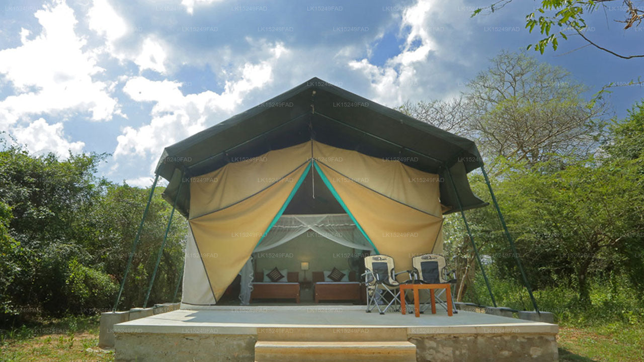 Wilpattu Safari Camp, Wilpattu