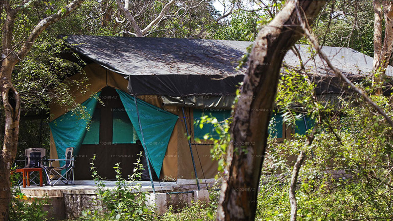 Wilpattu Safari Camp, Wilpattu