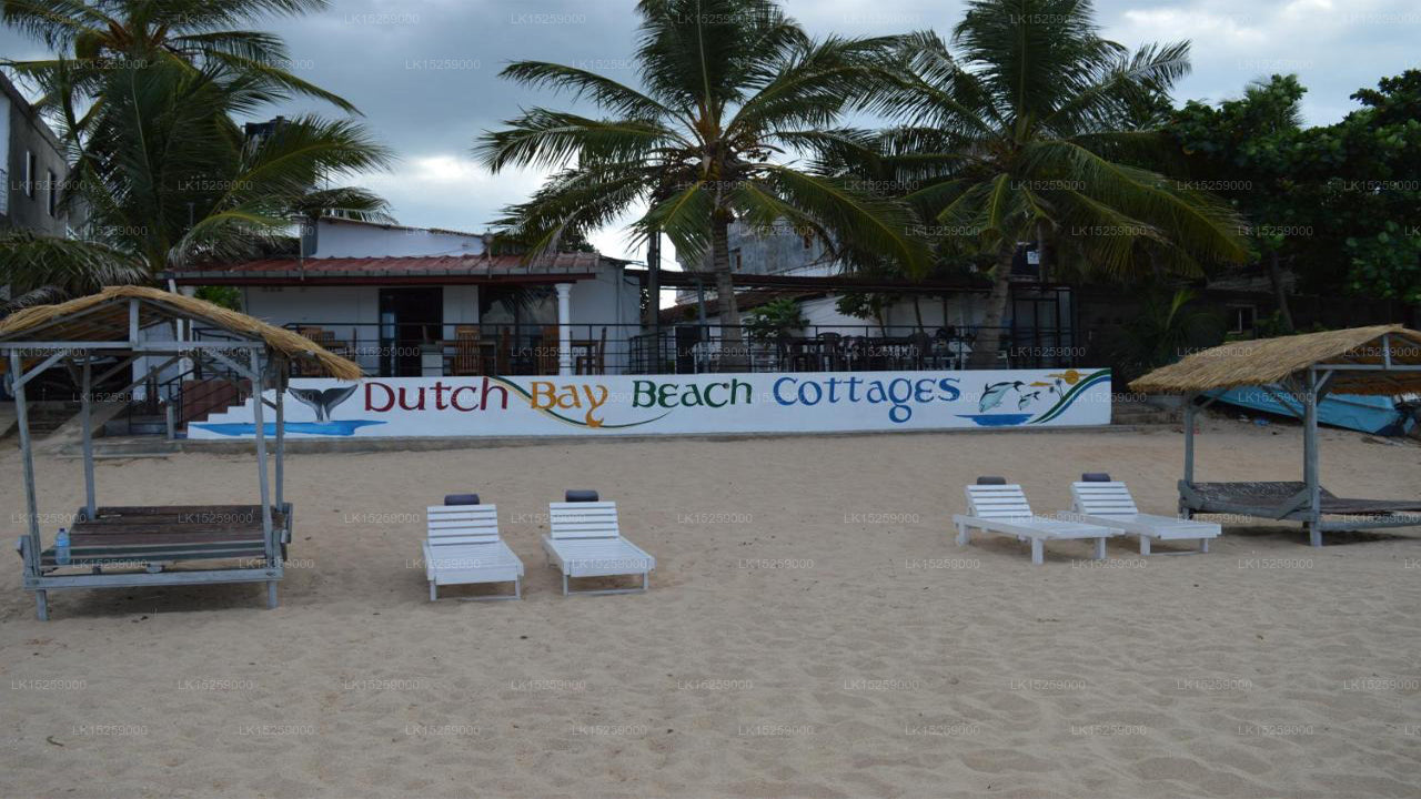 Dutch Bay Beach Cottages