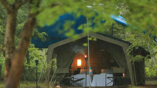 Big Game Camps and Lodges