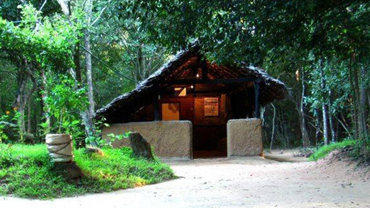 Popham's Arboretum, Dambulla