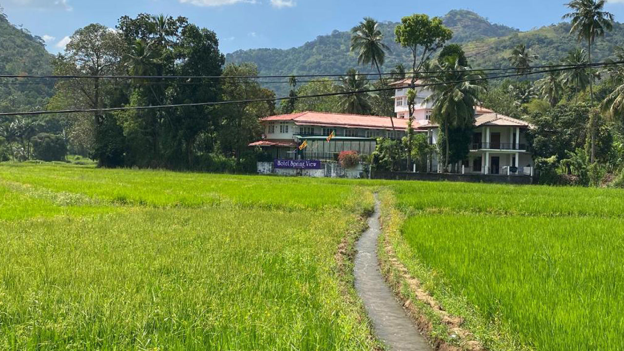 Hotel Spring View, Matale