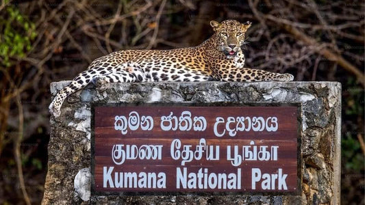 Kumana National Park Private Safari