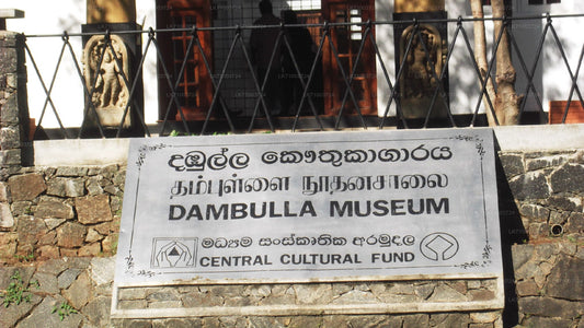 Dambulla Museum Entrance Ticket