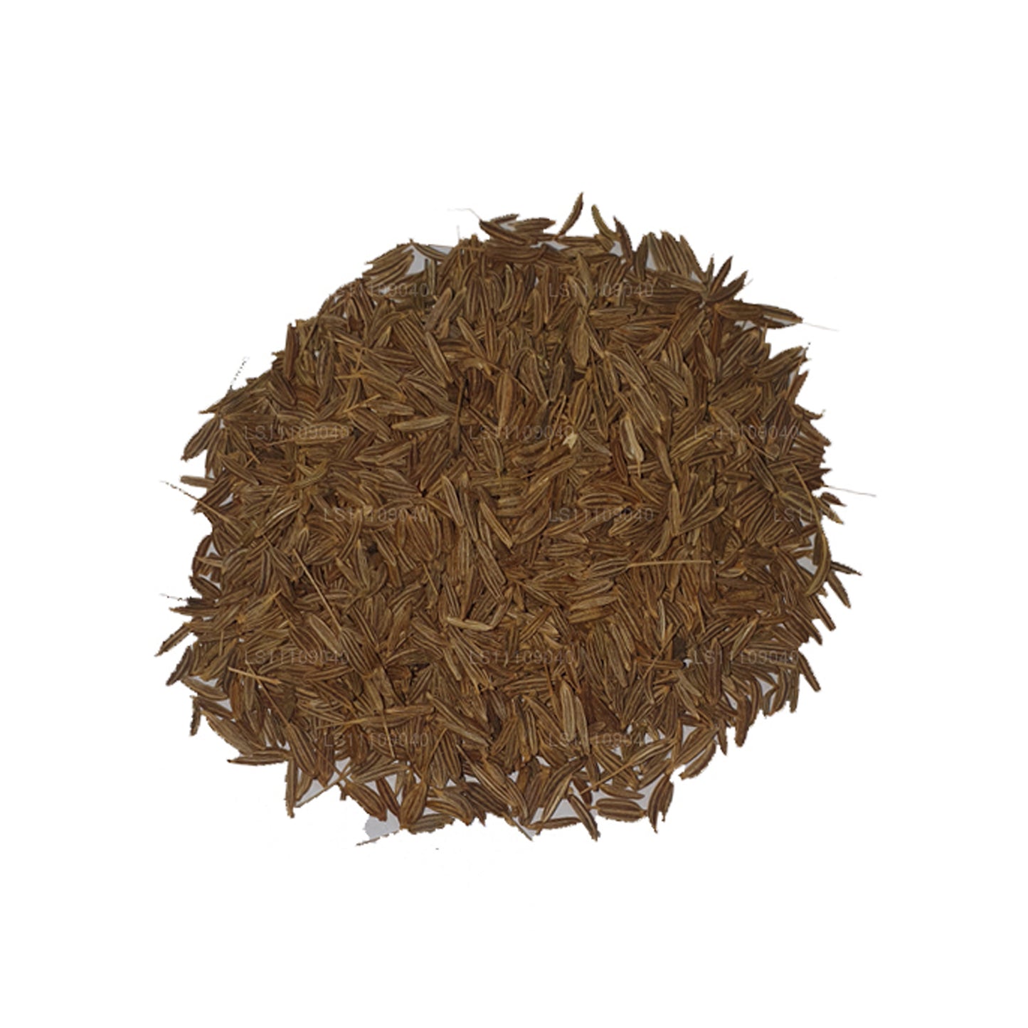 Lakpura Fennel Seeds Whole