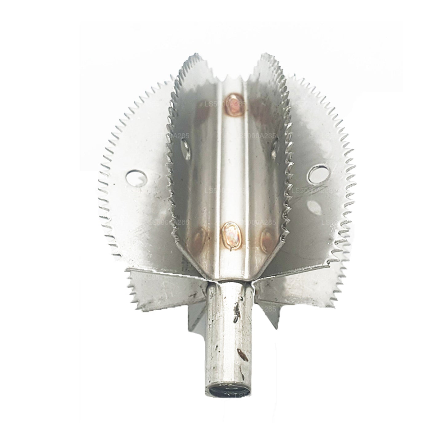 Odiris Stainless Steel Coconut Scraper (Model B5)