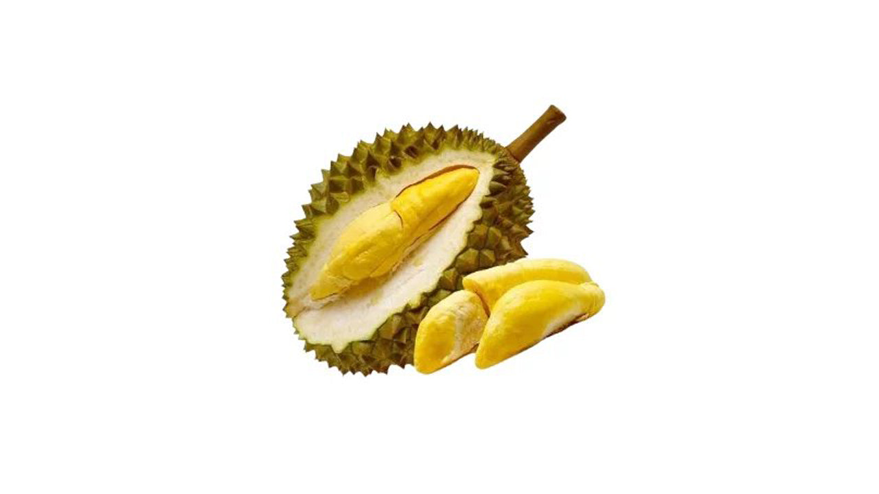 Durian  ( දූරියන් – කසුන් (බද්ධ) Fruit Plant