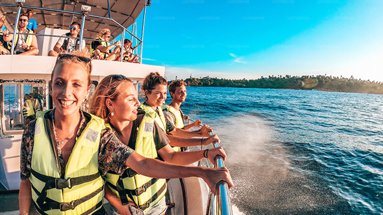 Whale Watching Shared Boat Tour from Bentota