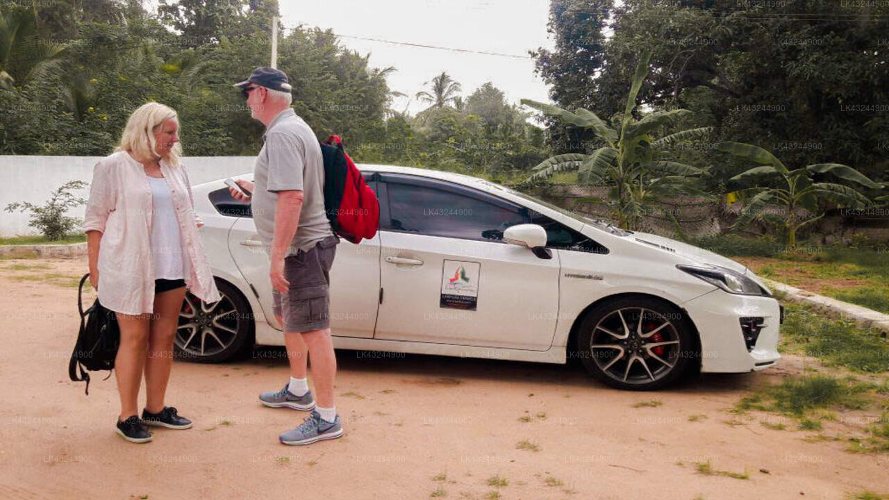 Transfer between Colombo Airport (CMB) and Red Banana, Chilaw