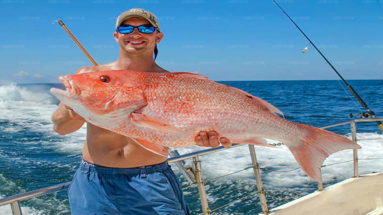 Deep Sea Fishing Boat Tour from Hikkaduwa