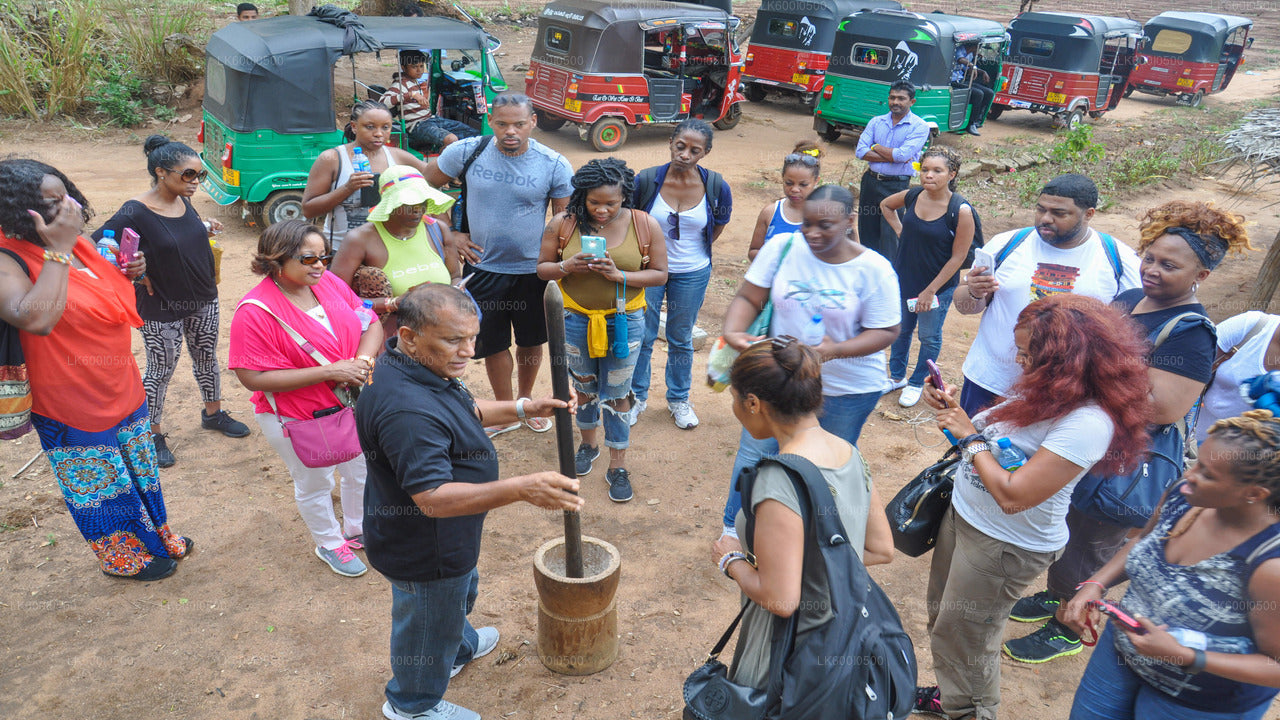 Sigiriya Village Tour and Lunch from Dambulla