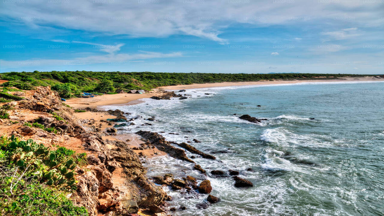 Bundala National Park Safari from Galle