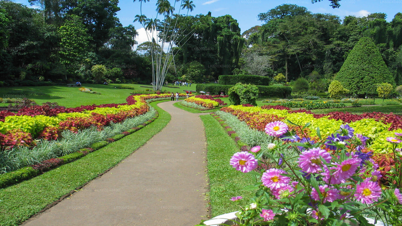 Kandy City Tour from Hikkaduwa