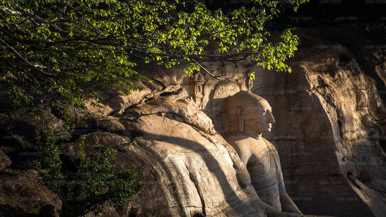 Polonnaruwa Ancient Kingdom and Wild Elephant Safari from Kandy