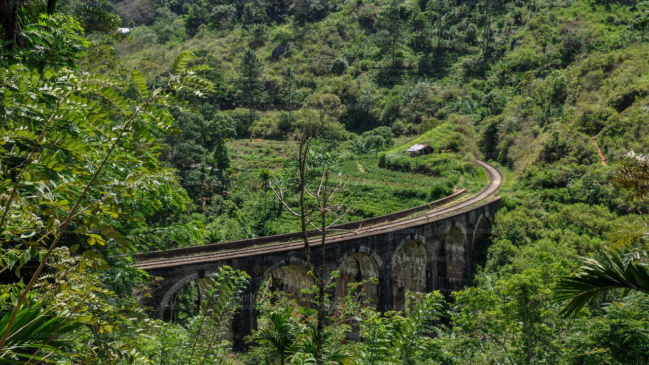 Scenic Ella Village from Hambantota