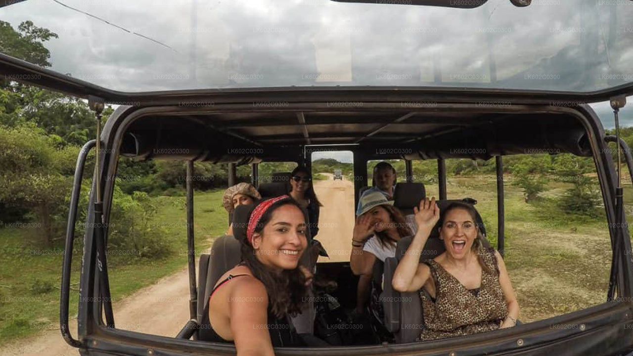 Yala National Park Safari from Weligama