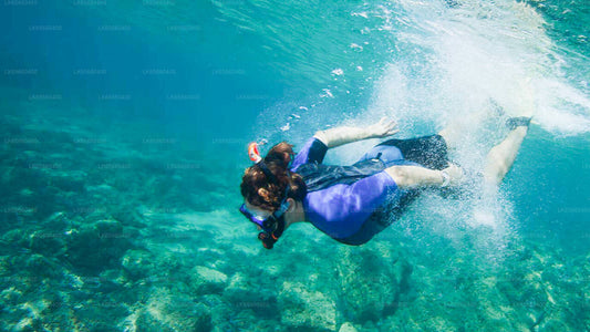 Diving from Mount Lavinia