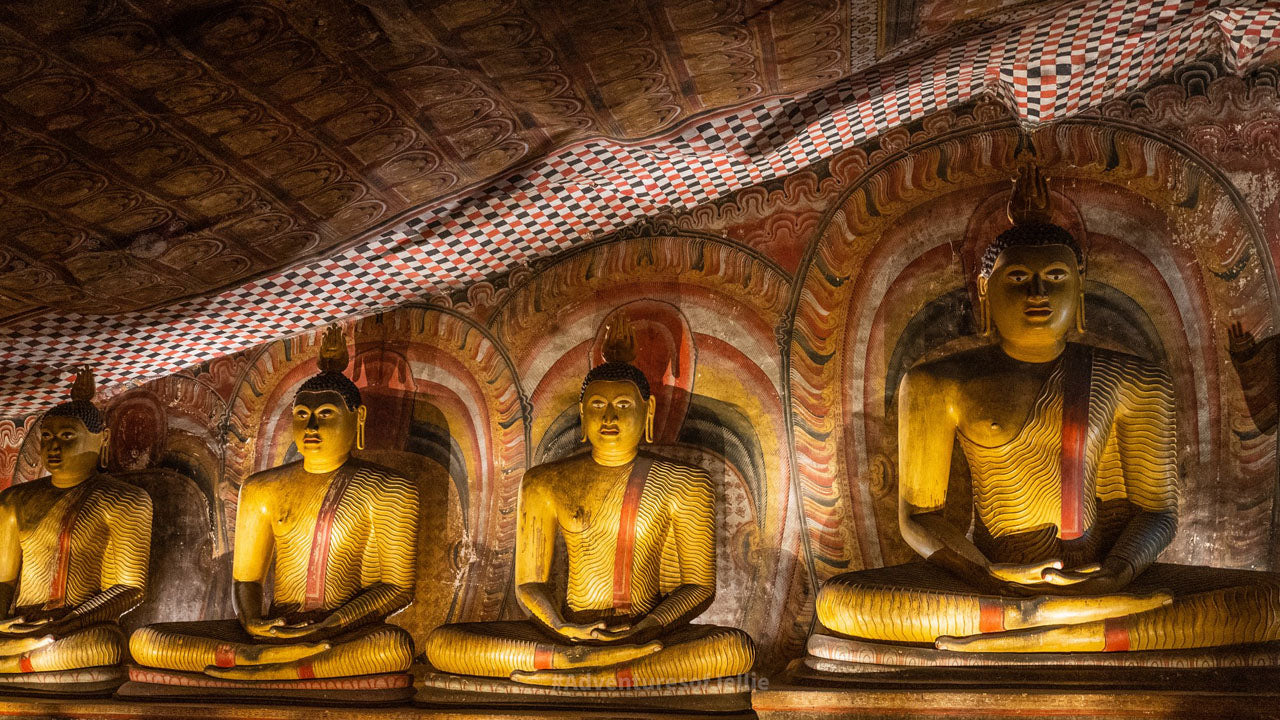 Dambulla Cave Temple Entrance Tickets