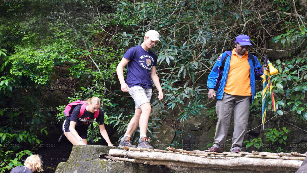 Trekking to Heeloya Village from Kandy