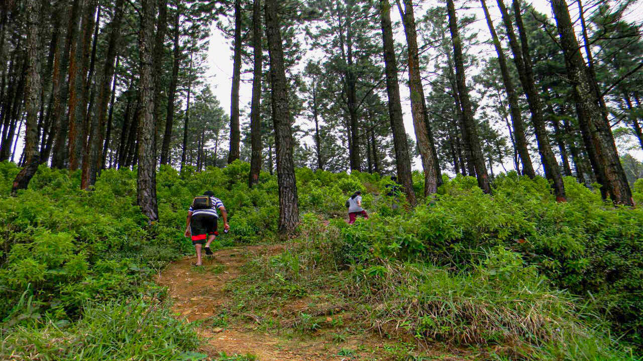 Hike to Peacock Hill from Kandy