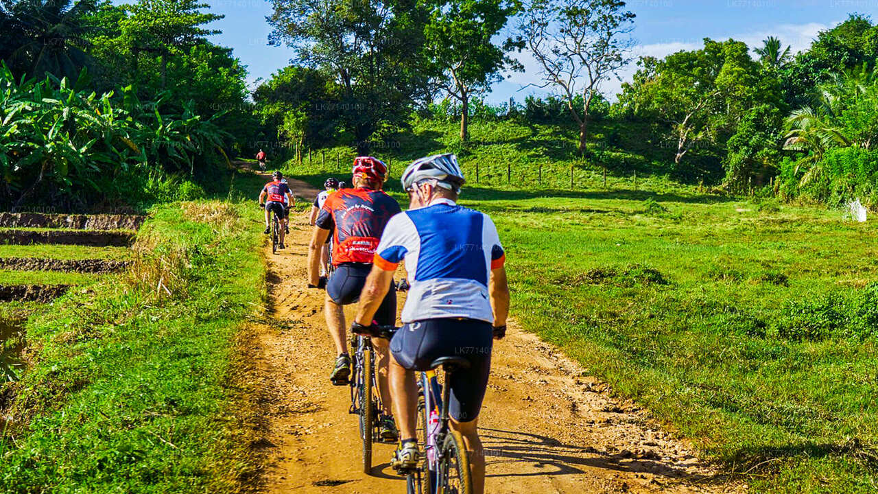 Cycling from Yala