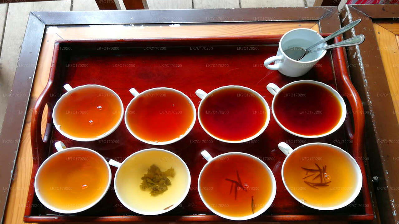 Ceylon Tea Tasting from Kandy