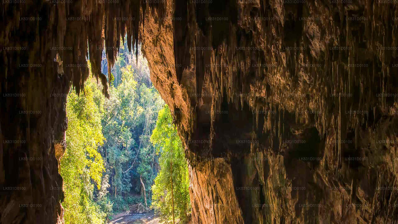 Explore Belilena Cave from Kitulgala