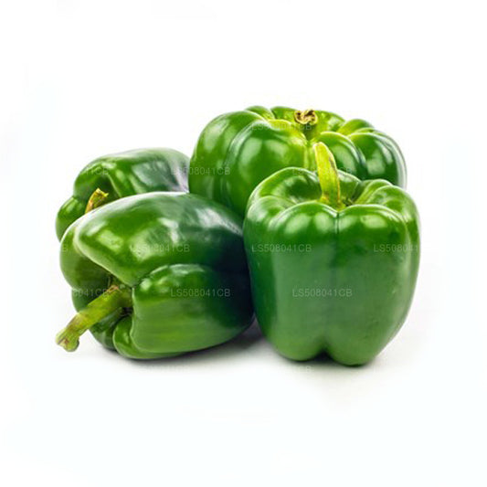 Bell Pepper Green- බෙල් පෙපර් කොළ (250g)