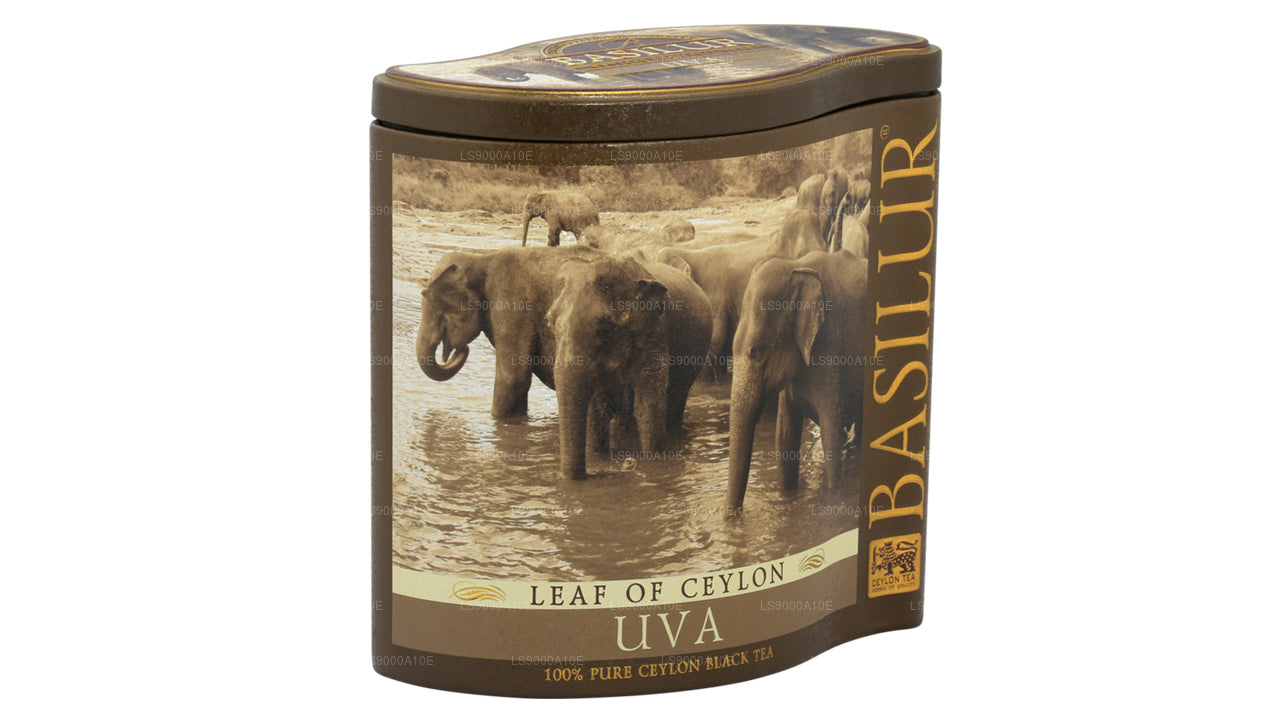 Basilur Leaf of Ceylon Uva Tea Caddy (100g)